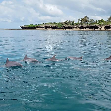 Wasini Raha Snorkeling And Diving Exterior foto