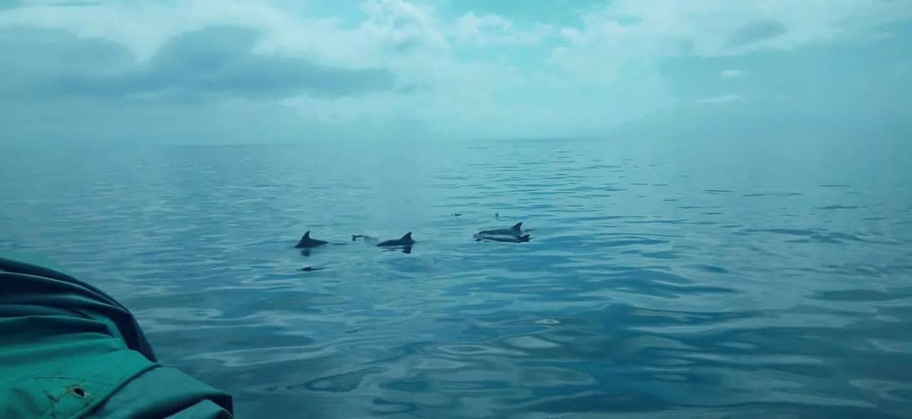 Wasini Raha Snorkeling And Diving Exterior foto
